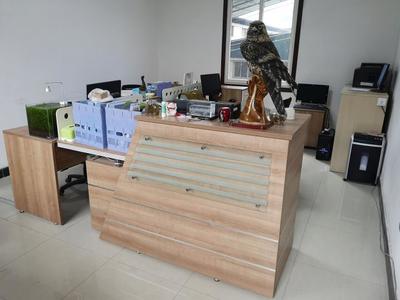 携手共进，再谱新篇——热烈祝贺九度与汉武机电签署网站服务协议，深化针纺织品及原料销售合作